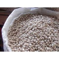 İspir Fasulyesi (Özel Mahsul) 1 Kg