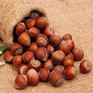 Giresun Kabuklu Fındık (1Kg)